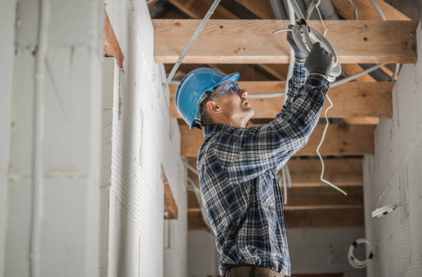 Best Ceiling Fan Installation Electrician  in Decorah, IA